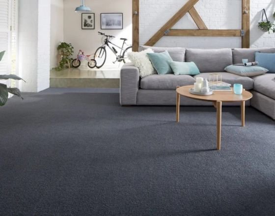 Elegant Carpet