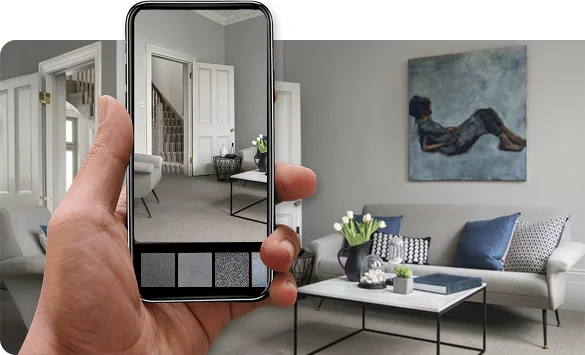 Elegant Grey Carpet