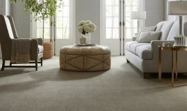 Elegant grey carpet