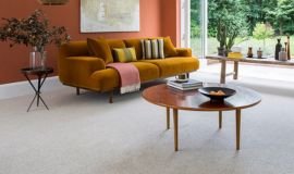 Elegant living room carpet