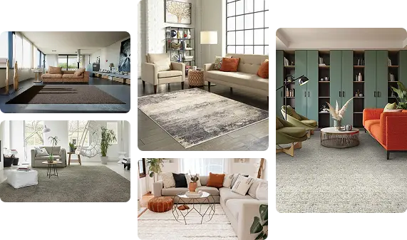 Minimalist living room carpet