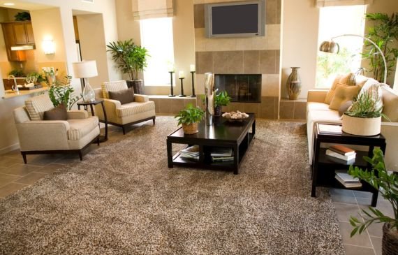 Modern living room carpet