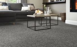 Premium Carpets