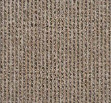 (Beige-14) MS