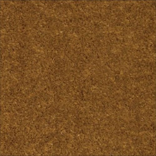 (Goldleaf) MS