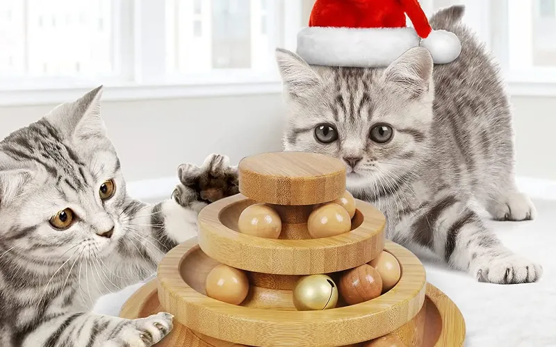 Purchase Cat Toys