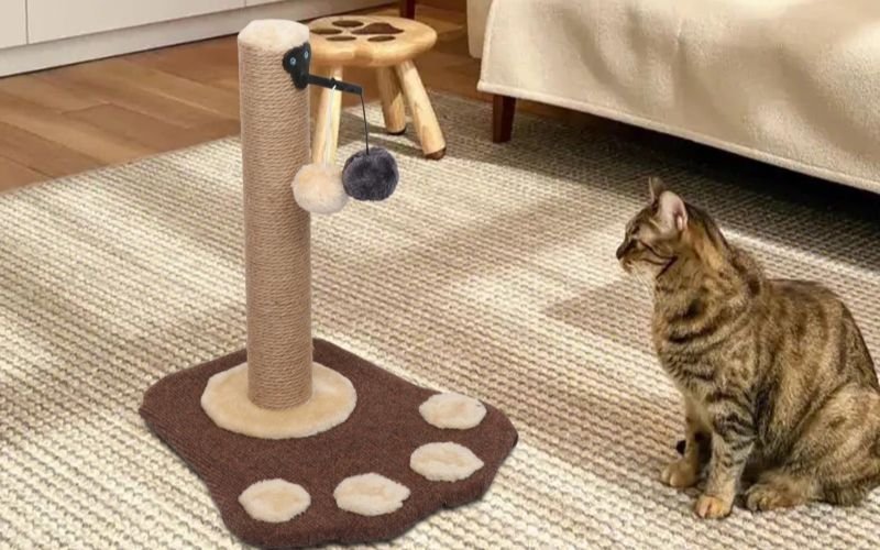 Purchase Vertical Scratching Post