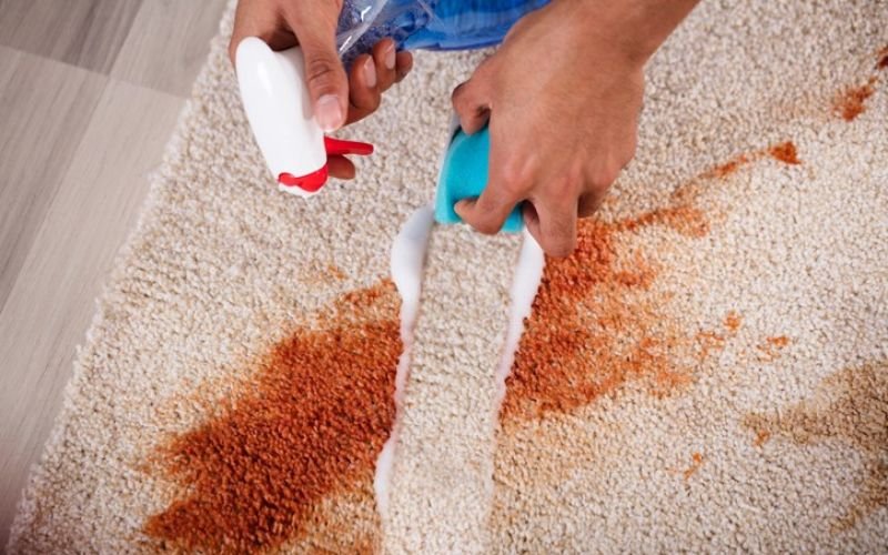 Removing Stains from Carpet