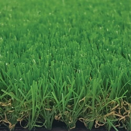 (Tek Grass-30 C) MS