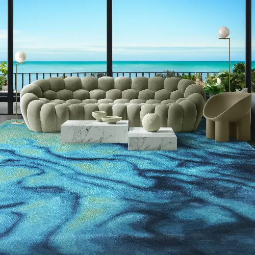 Living Room Carpets
